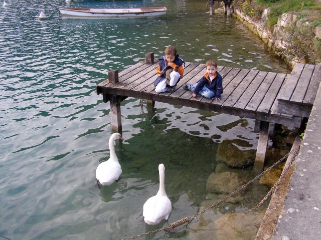 © irene waters 2014