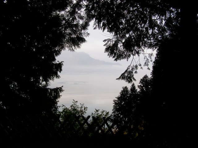 © irene waters 2014