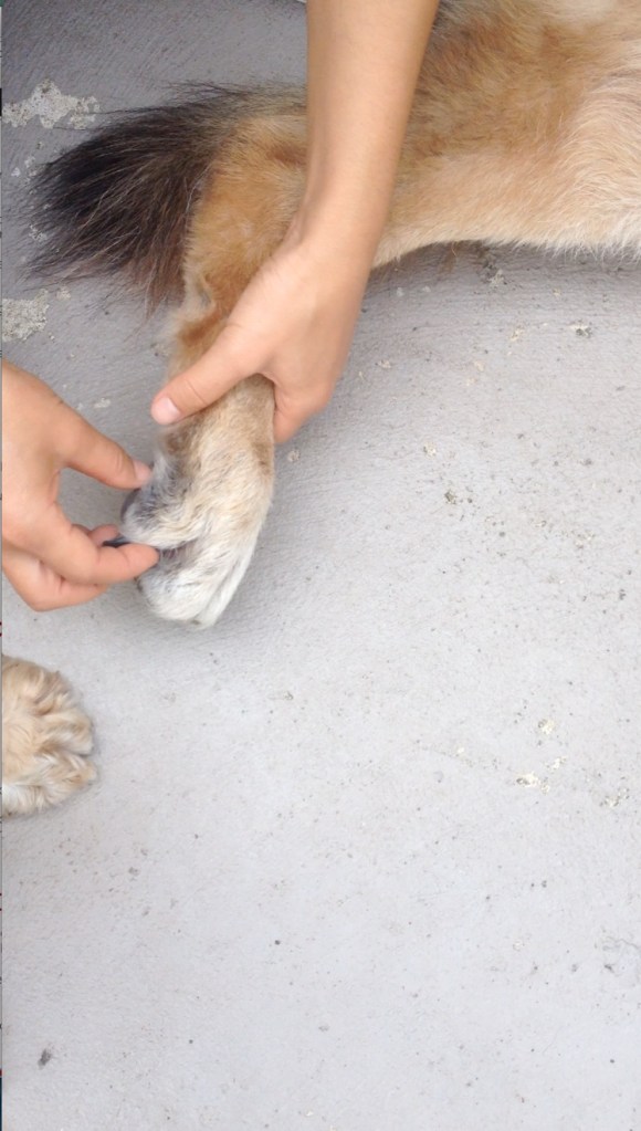 © irene waters 2014