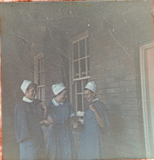 © irene waters 2014