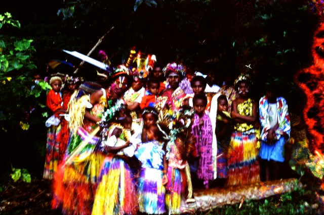 © irene waters 2014