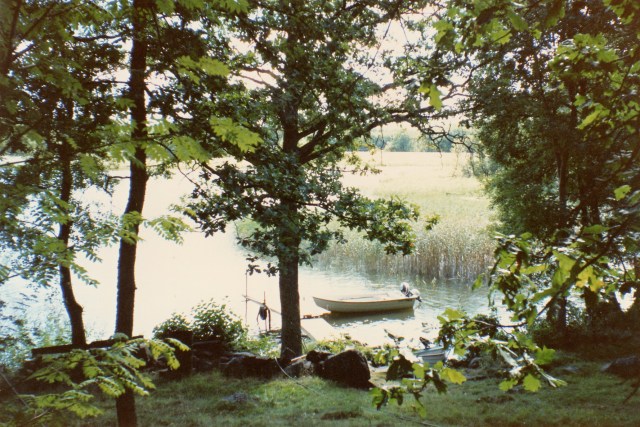 © irene waters 2014