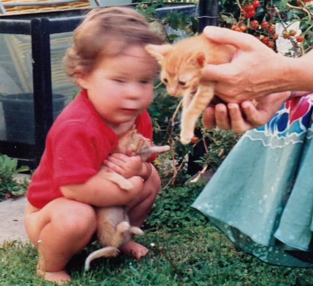 © irene waters 2014