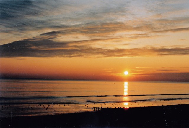 © irene waters 2014