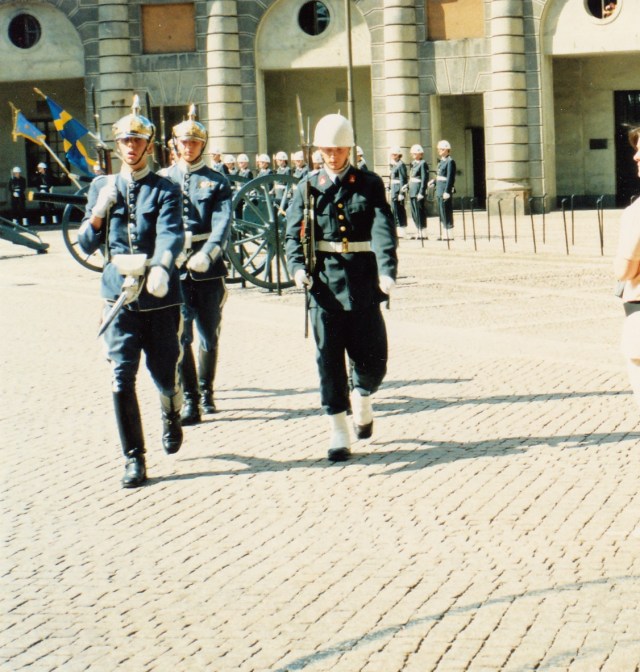 © irene waters 2014