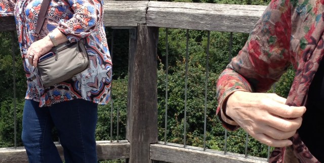 © irene waters 2014