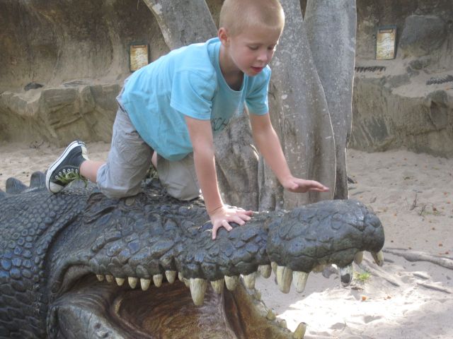 © irene waters 2014