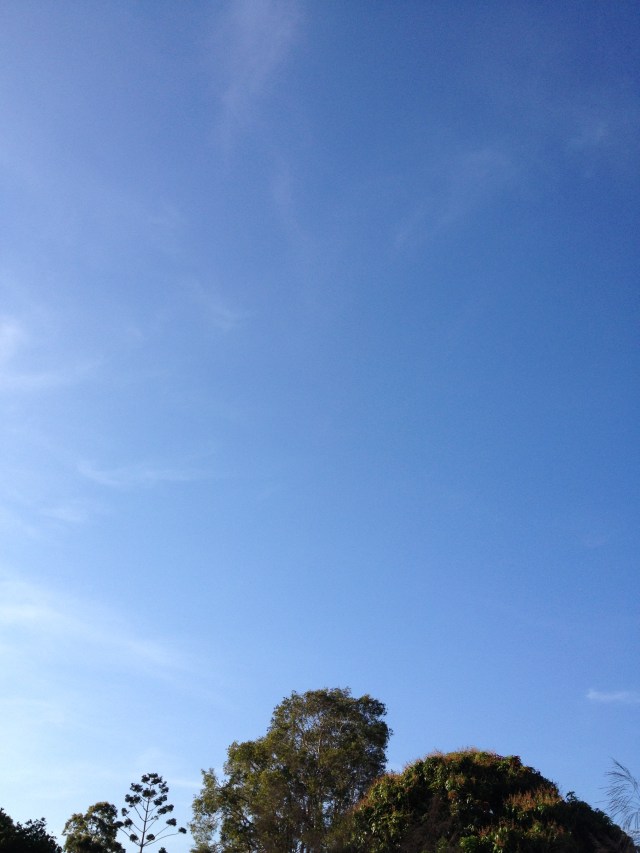 © irene waters 2014