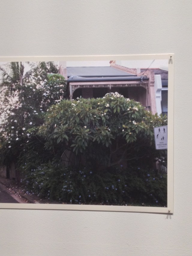 © irene waters 2014