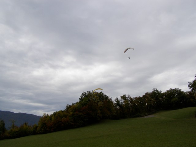 © irene waters 2014