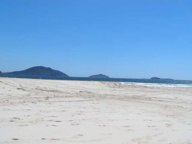 © irene waters 2014