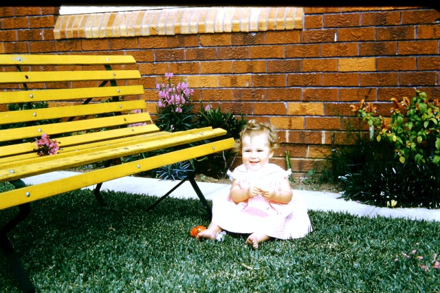 © irene waters 2014