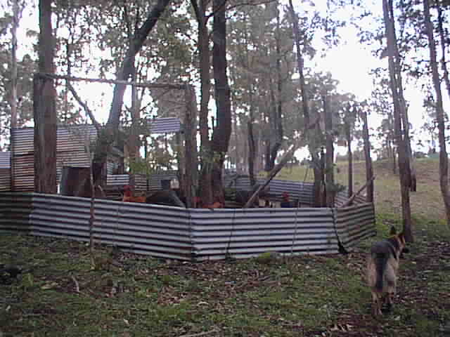 © irene waters 2014