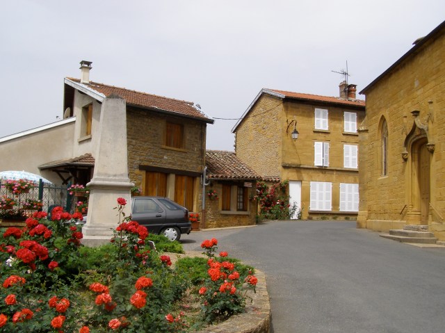 © irene waters 2014