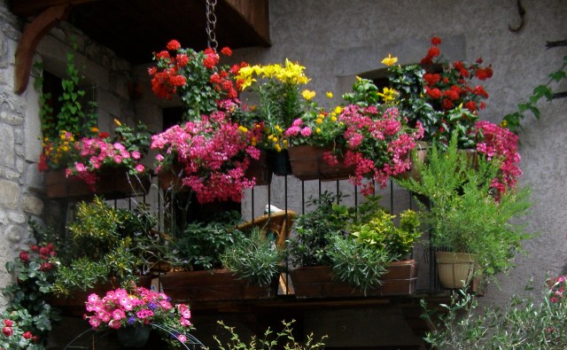 © irene waters 2014