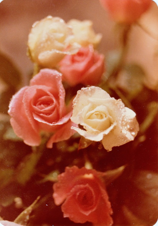 © irene waters 2014