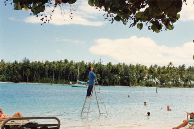 © irene waters 2014