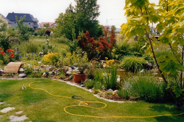 © irene waters 2014