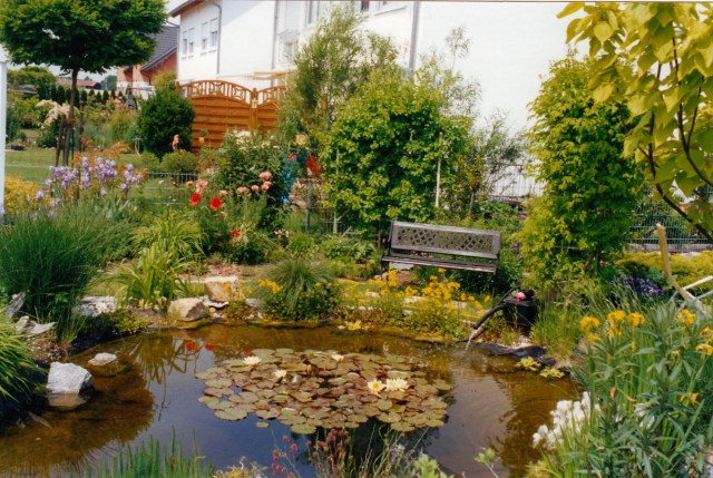 © irene waters 2014