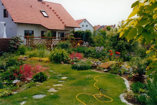 © irene waters 2014