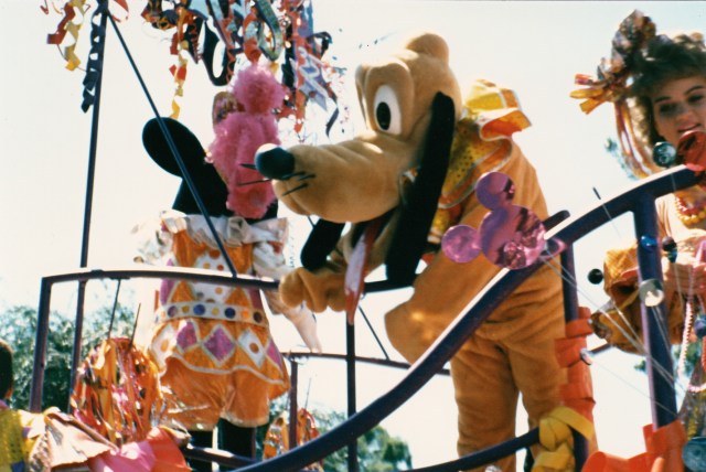 © irene waters 2014