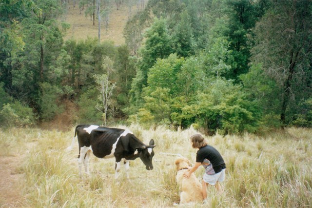 © irene waters 2014