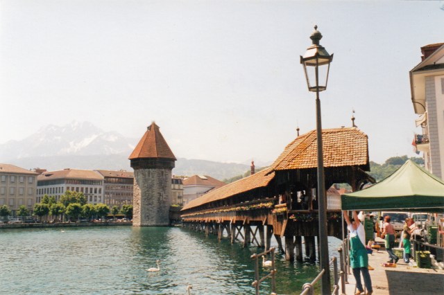 © irene waters 2014