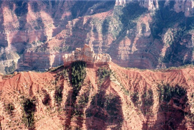 © irene waters 2014