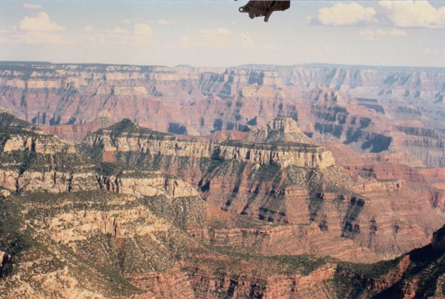 © irene waters 2014