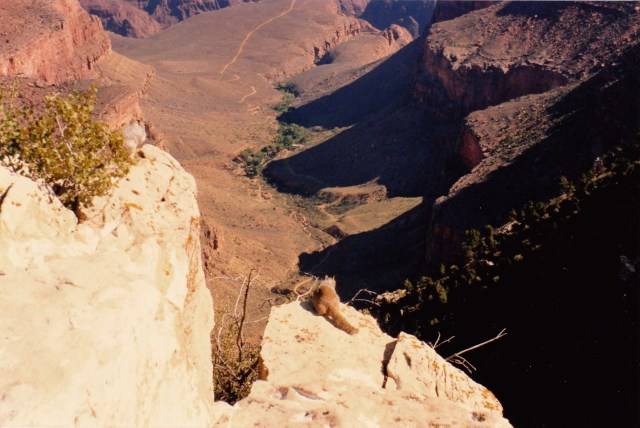 © irene waters 2014