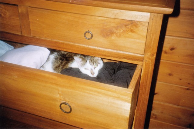 © irene waters 2014