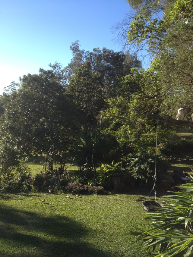 © irene waters 2014