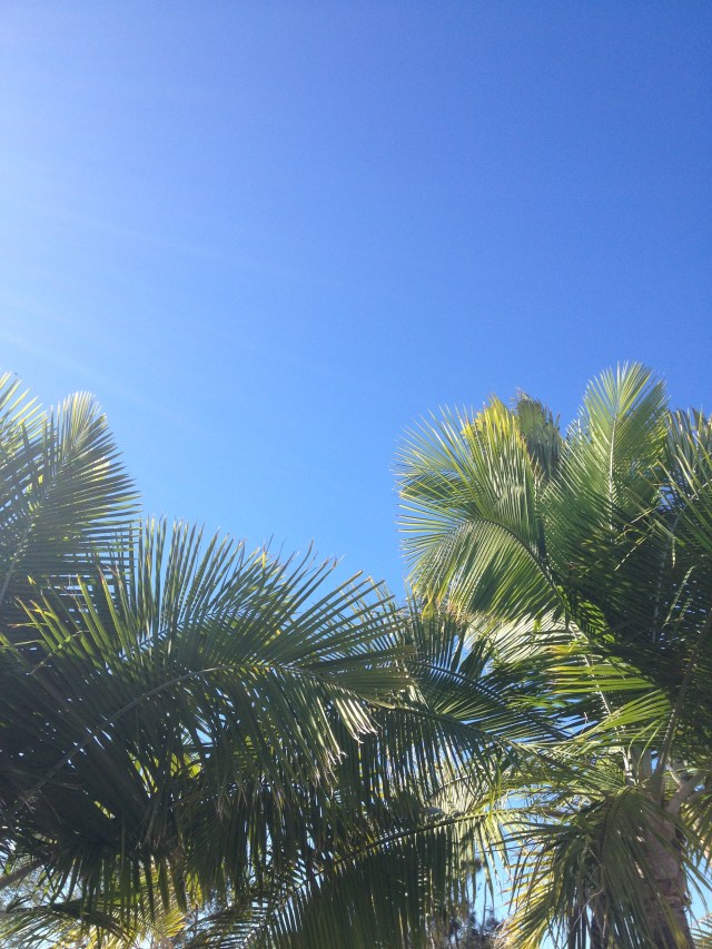 © irene waters 2014