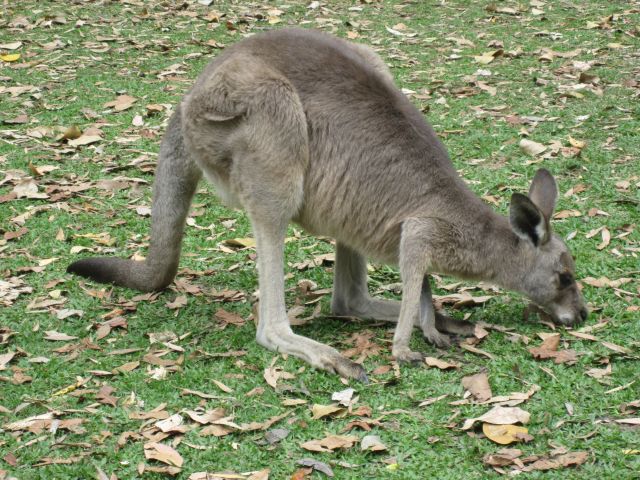 © irene waters 2014