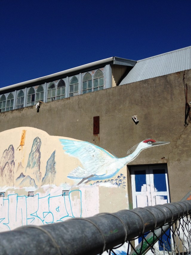 © irene waters 2014