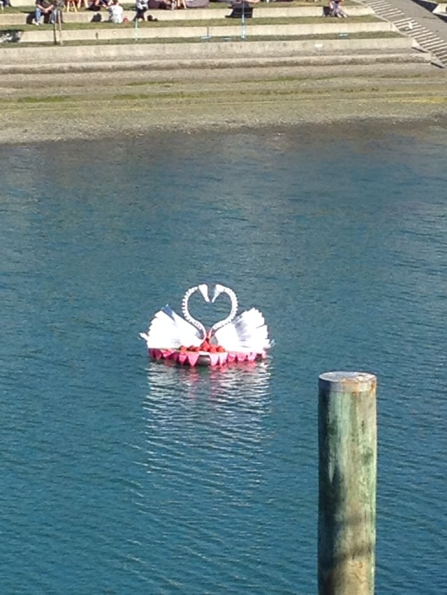 © irene waters 2014