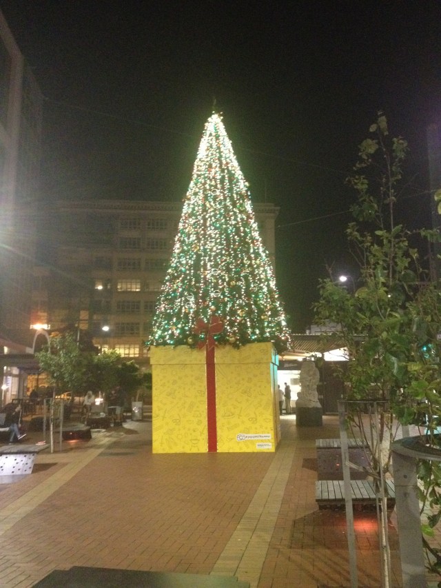 © irene waters 2014