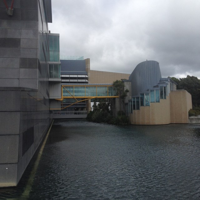 © irene waters 2014