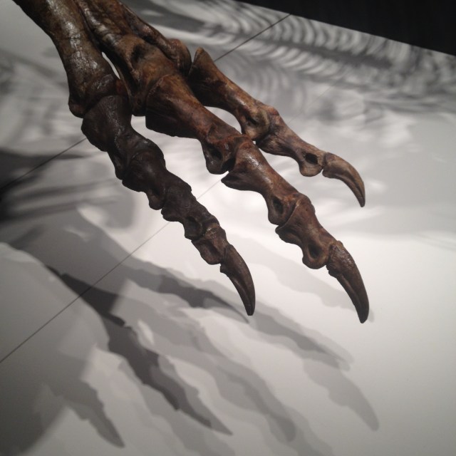 © irene waters 2014