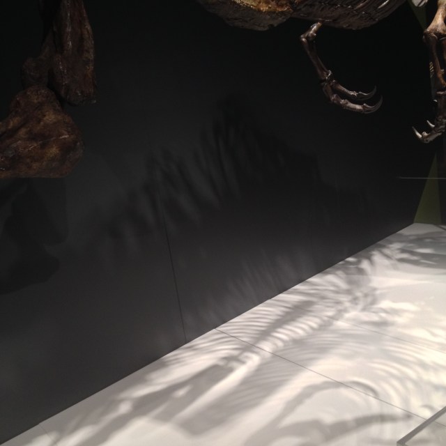 © irene waters 2014