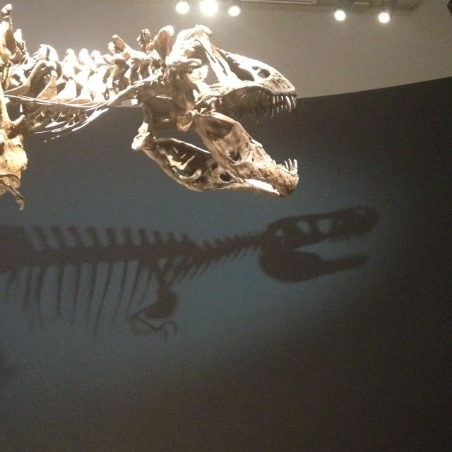 © irene waters 2014