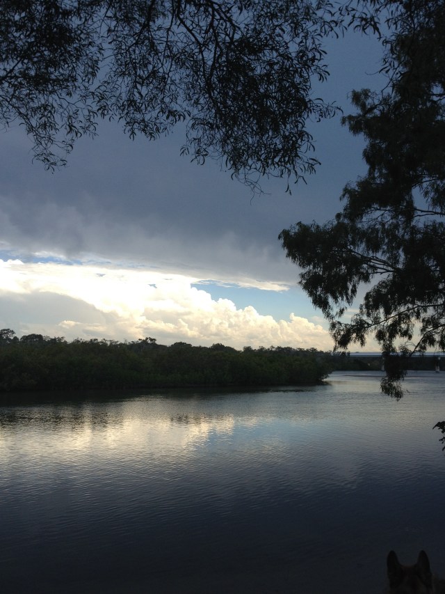 © irene waters 2014