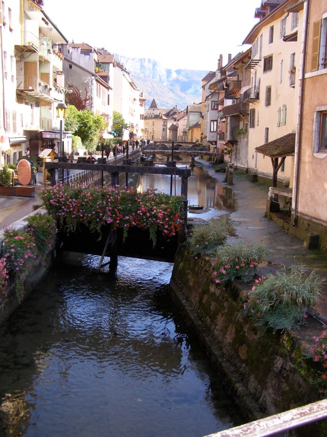 © irene waters 2014