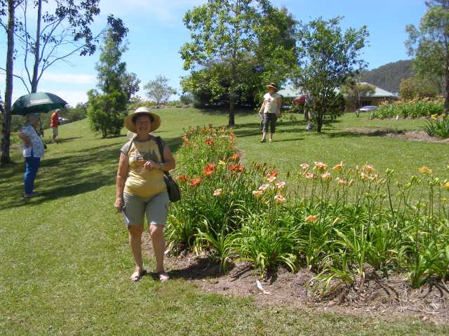 © irene waters 2014