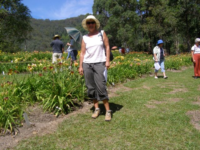 © irene waters 2014