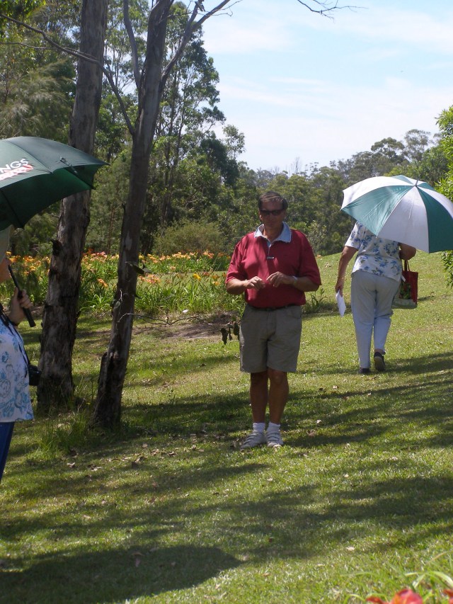 © irene waters 2014