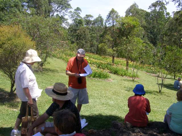 © irene waters 2014