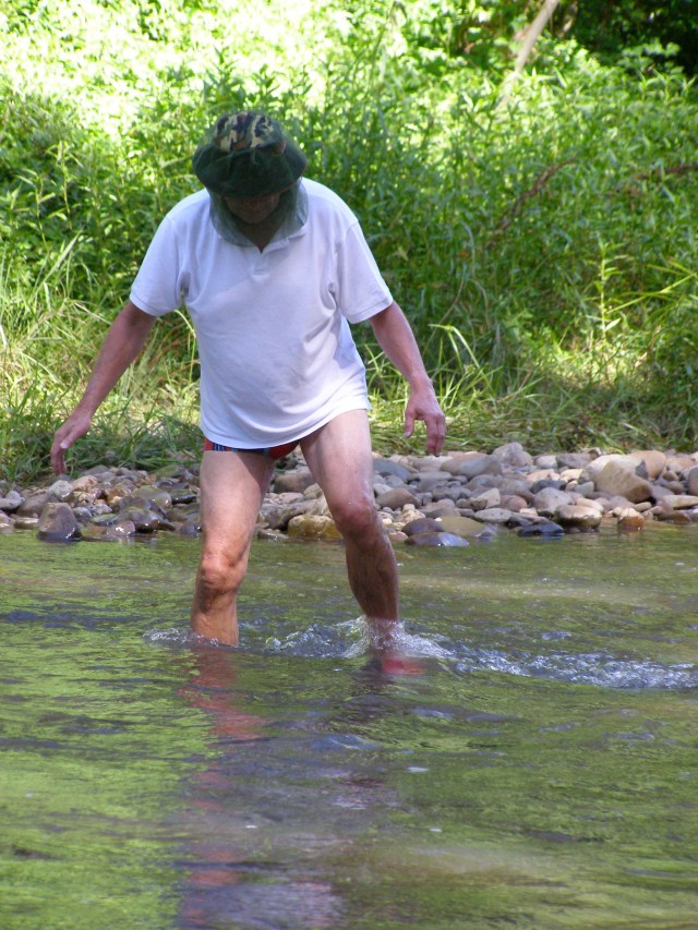 © irene waters 2014