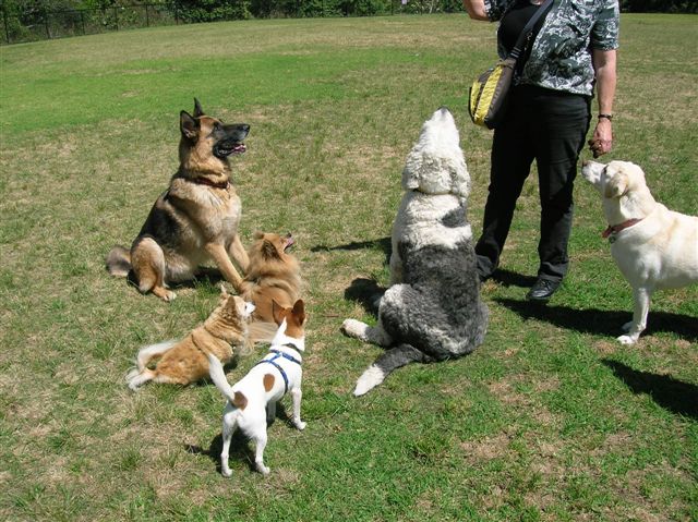 © irene waters 2014