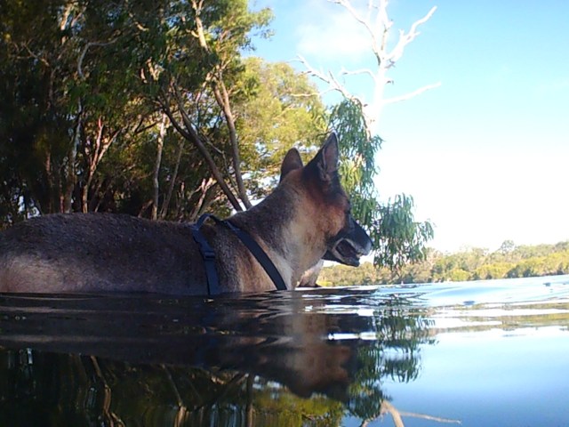 © irene waters 2015